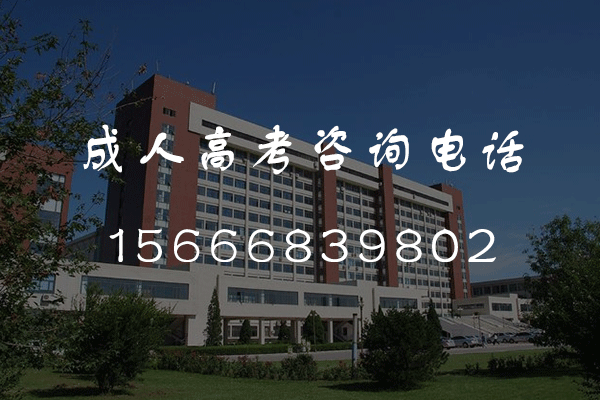 2024年威海成人高考考几天？